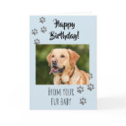 Happy Birthday Photo Dog Cat Pet Fur Baby