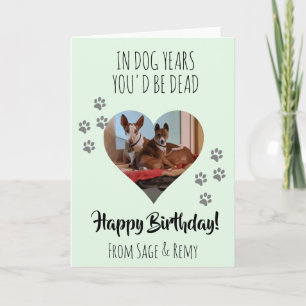 Happy Birthday Photo Dog Funny Dog Years Photo Card