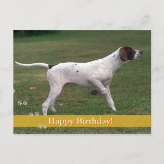 Happy Birthday! | Photo dog Postcard