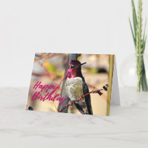 Happy Birthday Pink Anna's Hummingbird Photo Card