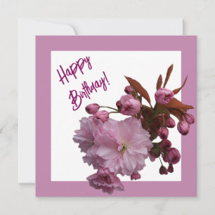 Happy birthday pink cherry blossom flowers art  holiday card