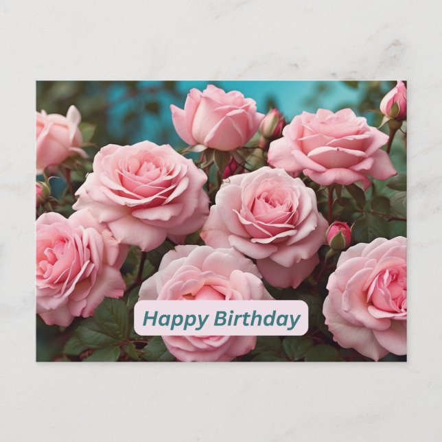 Happy Birthday Pink Roses in Bloom Postcard (Front)