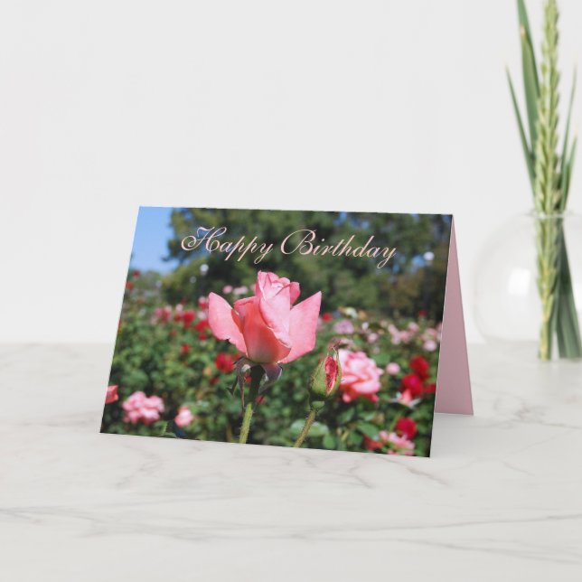 Happy Birthday Pink Roses in Garden Card (Front)