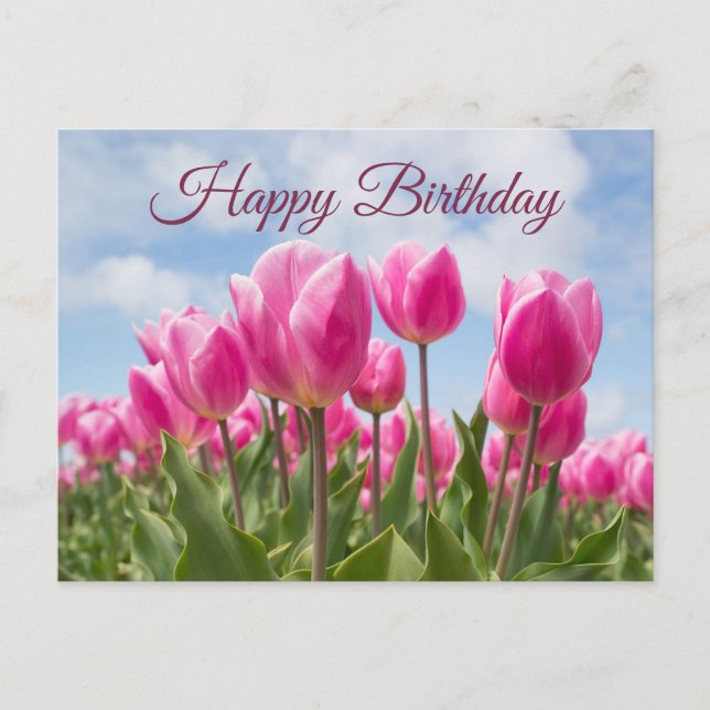 Happy Birthday Pink Tulip Flowers  Postcard (Front)
