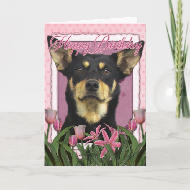 Happy Birthday - Pink Tulips - Australian Kelpie Card (Front)