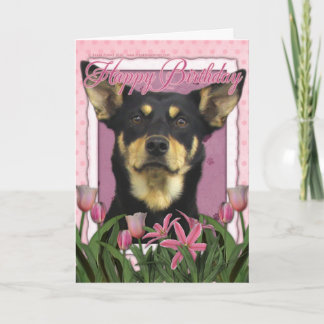 Happy Birthday - Pink Tulips - Australian Kelpie Card