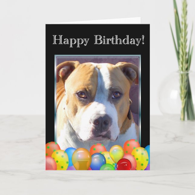 Happy Birthday pitbull dog greeting card (Front)