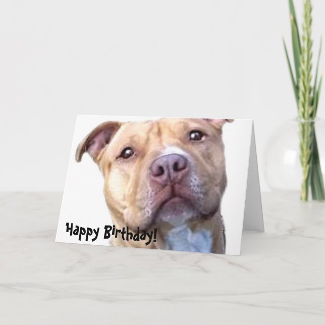 Happy Birthday Pitbull greeting card (Front)