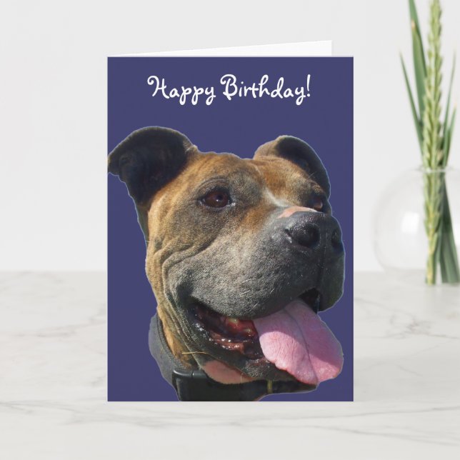 Happy Birthday Pitbull greeting card (Front)