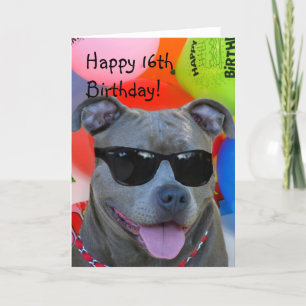 Happy Birthday Pitbull greeting card