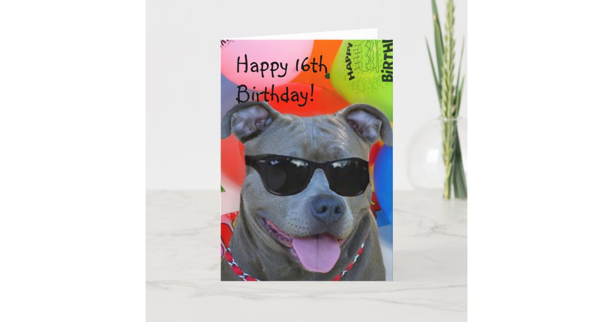 Happy Birthday Pitbull greeting card | Zazzle