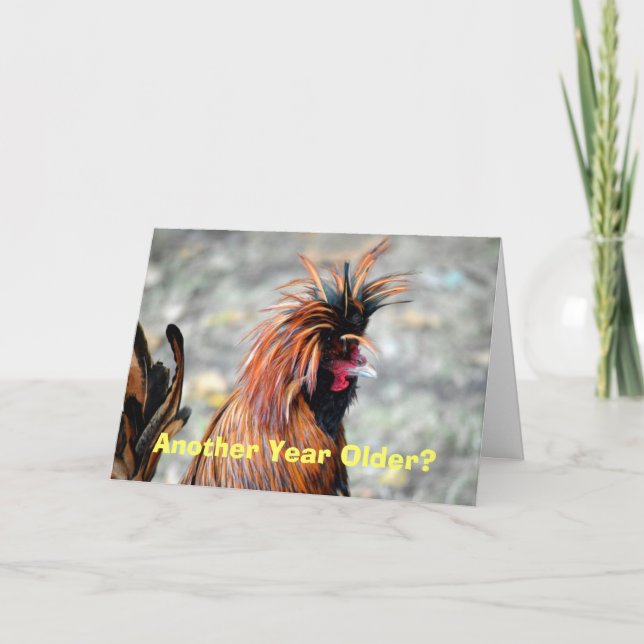 Happy Birthday Polish Crested Rooster Card (Front)