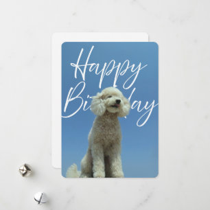 Happy Birthday Poodle Dog Lover Greeting Card
