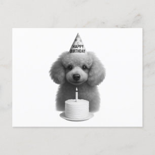 Happy Birthday Poodle Holiday Postcard