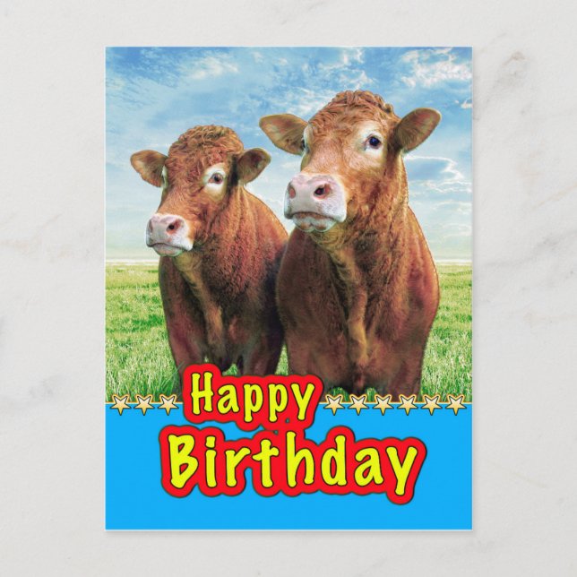 Happy Birthday Postcard (Front)