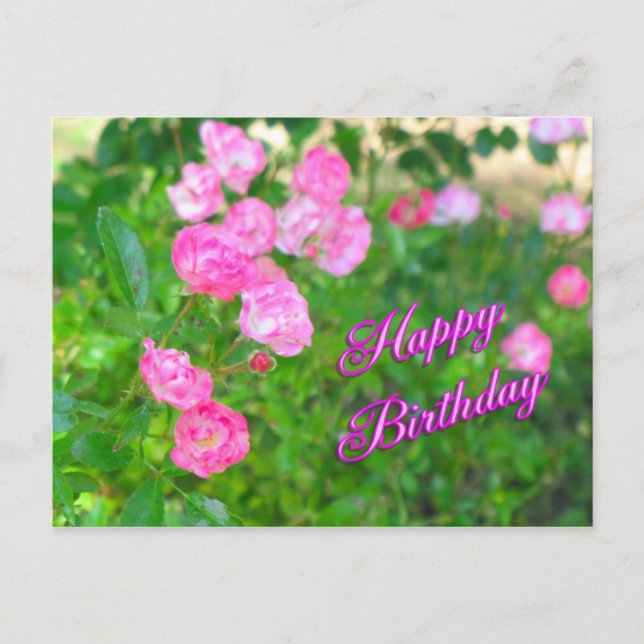 happy birthday postcard (Front)