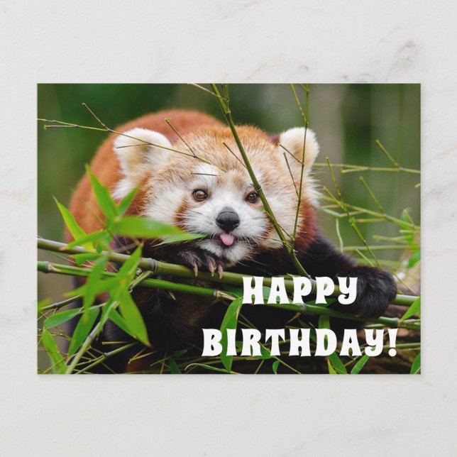 Happy Birthday Postcard (Front)