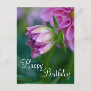 Happy Birthday Postcard