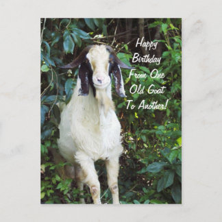 Happy Birthday Postcard