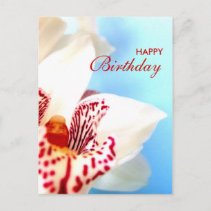 Happy Birthday Postcard
