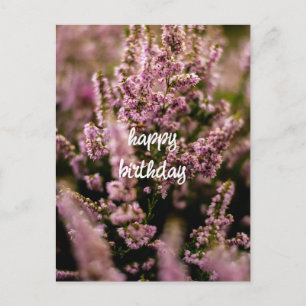 Happy Birthday Postcard Heather Flowers Photograph