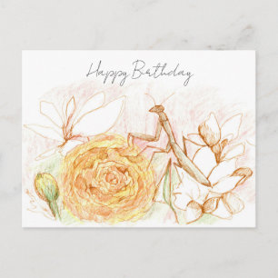 Happy Birthday Praying Mantis Garden Bug  Postcard