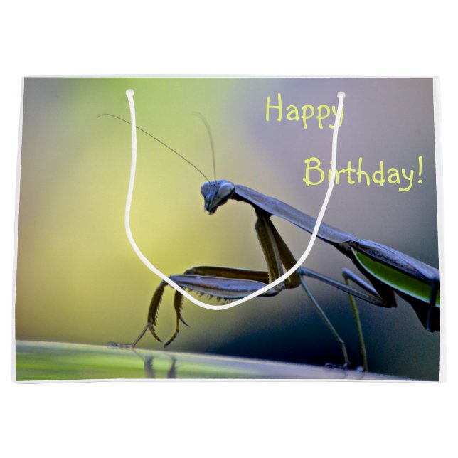 Happy Birthday Praying Mantis Large Gift Bag (Front)