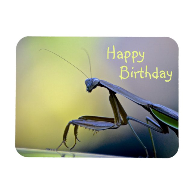 Happy Birthday Praying Mantis Magnet (Horizontal)