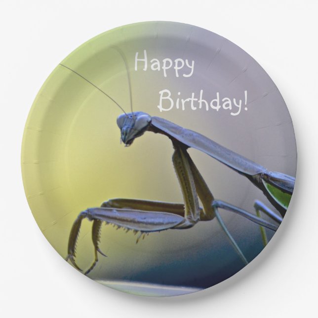 Happy Birthday Praying Mantis Paper Plate (Front)