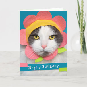Happy Birthday Pretty Cat in a Flower Hat Humour Holiday Card
