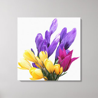 Happy Birthday pretty floral colourful crocus cute Canvas Print