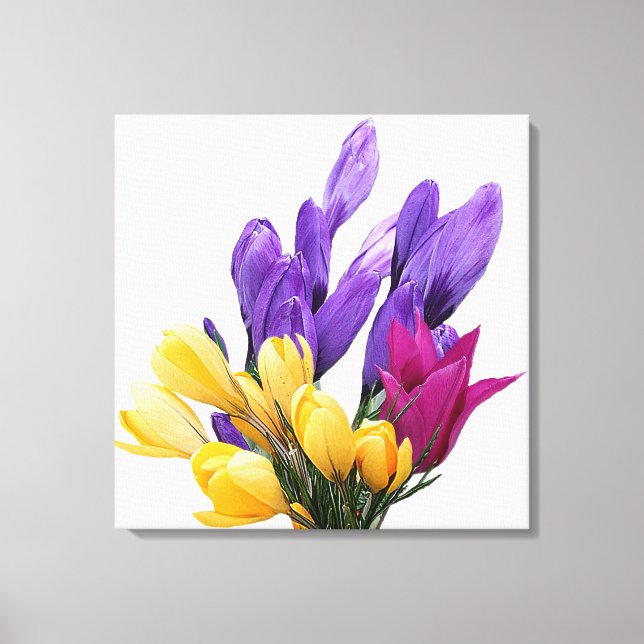 Happy Birthday pretty floral colourful crocus cute Canvas Print (Front)