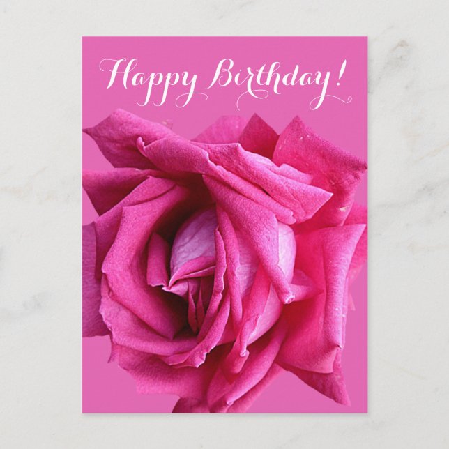 Happy birthday pretty hot pink rose floral simple postcard (Front)