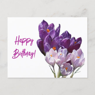 Happy Birthday pretty purple colour floral crocus  Holiday Postcard