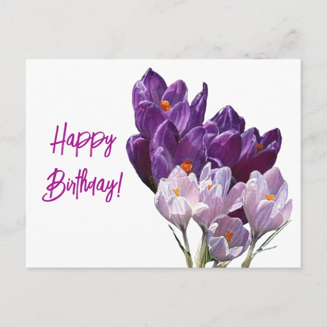 Happy Birthday pretty purple colour floral crocus  Holiday Postcard (Front)
