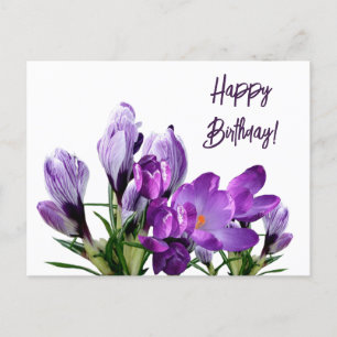 Happy Birthday pretty purple crocus flowers floral Postcard