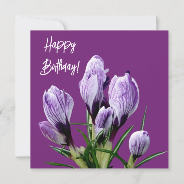 Happy Birthday pretty purple crocus lovely floral Card (Front)