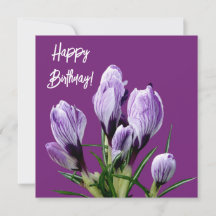 Happy Birthday pretty purple crocus lovely floral