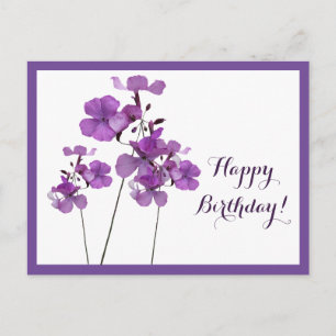 Happy Birthday pretty purple floral chic fancy fun Postcard