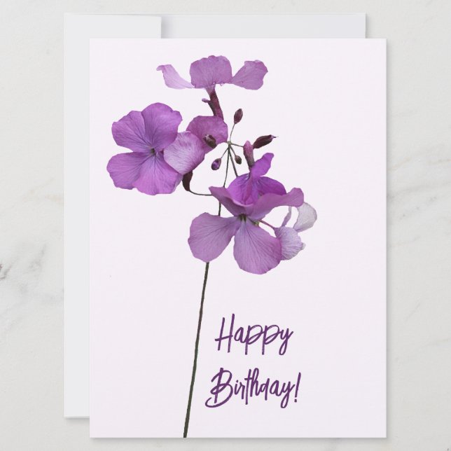Happy birthday pretty purple floral simple flower holiday card (Front)