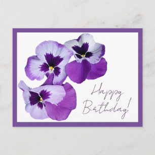 Happy Birthday pretty purple pansy flowers floral Postcard
