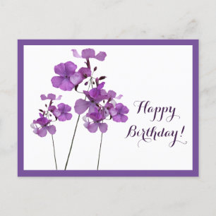 Happy Birthday pretty purple simple modern floral Postcard