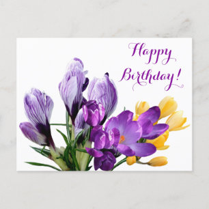 Happy Birthday pretty purple yellow crocus floral Postcard