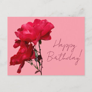 Happy Birthday pretty red rose colourful floral Postcard