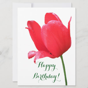 Happy birthday pretty red tulip floral elegant fun holiday card