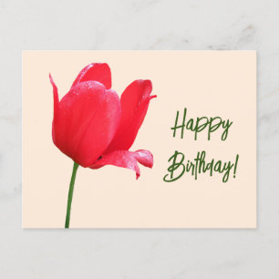 Happy Birthday pretty red tulip floral simple cute Postcard