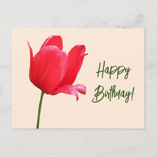 Happy Birthday pretty red tulip floral simple cute Postcard (Front)