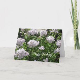 Happy Birthday Pretty White and Purple Flowers Card