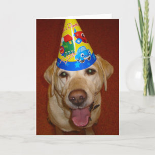 Happy Birthday Prima-Blank Inside Card