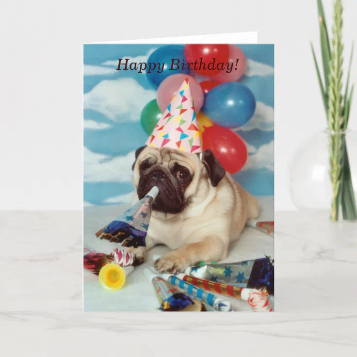 Happy Birthday Pug Card | Zazzle